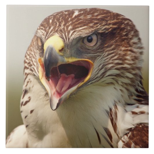 Schöner Lanner Falcon Tile/Trivet Fliese (Vorderseite)