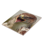 Schöner Lanner Falcon Tile/Trivet Fliese (Seite)