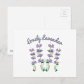 Schöner Lavendel Postkarte (Vorne/Hinten)