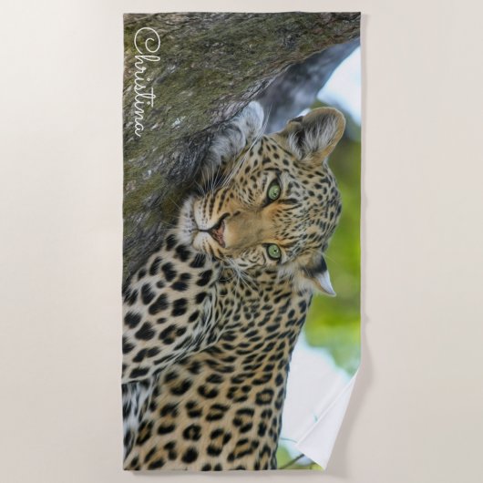 Schöner Leopard in einem Baum Personalisiert Strandtuch (Vorderseite)