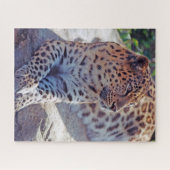 Schöner Leopard - Puzzle (Horizontal)