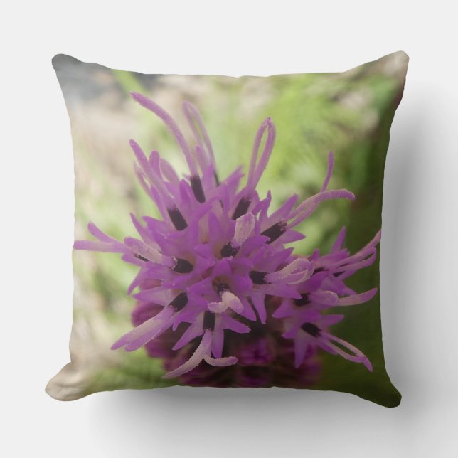 Schöner Liatris-Blumentrend Kissen (Vorderseite)