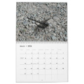 Schöner Libellen-Kalender Kalender (Mär 2026)