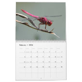 Schöner Libellen-Kalender Kalender (Feb 2026)