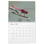 Schöner Libellen-Kalender Kalender (Feb 2027)