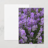 Schöner Light Lavender Mitteilungskarte (Vorne/Hinten)