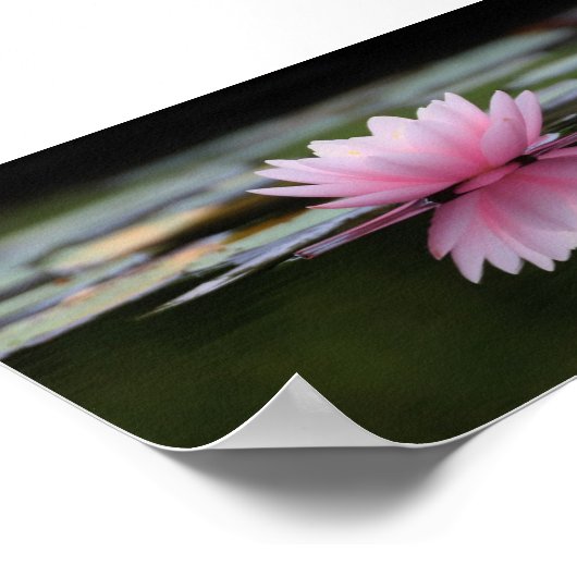 Schöner Lotus, Zen Poster (Ecke)