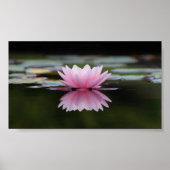 Schöner Lotus, Zen Poster (Vorne)