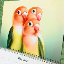 Schöner Lovebird Wasserfarbengeflügel Niedlicher P