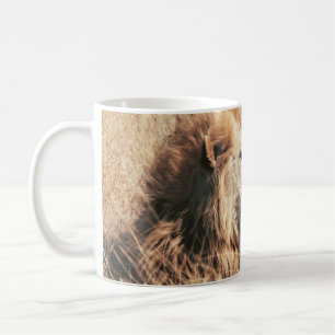SCHÖNER LÖWE KAFFEETASSE