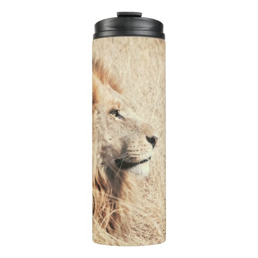 SCHÖNER LÖWE THERMOSBECHER (Vorderseite)