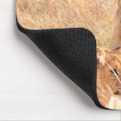 Schöner Löwe und Cube Mousepad (Ecke)