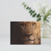 Schöner Löwenvorsprung Postkarte (Stehend Vorderseite)