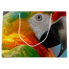 Schöner Macaw Große Geschenktüte