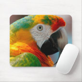 Schöner Macaw Mousepad (Mit Mouse)