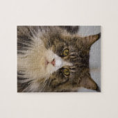 Schöner Maine-Waschbär Puzzle (Horizontal)