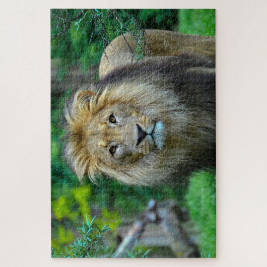 Schöner majestätischer Löwe im Dschungel Puzzle (Vertikal)