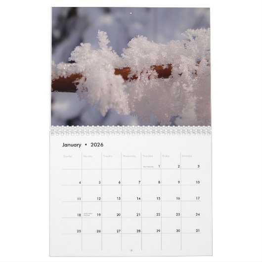 Schöner Makrokalender Kalender (Jan 2026)