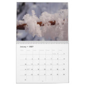 Schöner Makrokalender Kalender (Jan 2027)