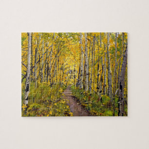 Schöner malerischer Herbstweg im Espenbaumhain Puzzle