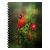 Schöner männlicher Kardinal Notizblock (Vorderseite)