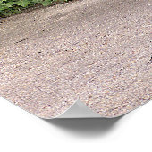 Schöner männlicher Pfau Poster (Ecke)