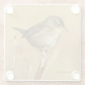 Schöner Marsh Wren Songbird in den Marschen Glasuntersetzer (Rückseite)