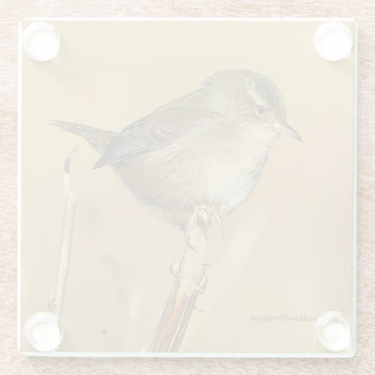 Schöner Marsh Wren Songbird in den Marschen Glasuntersetzer (Rückseite)
