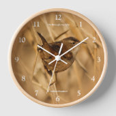 Schöner Marsh Wren Songbird in den Marschen Uhr (Vorderseite)