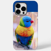 Schöner mehrfarbiger Parrot Case-Mate iPhone Hülle (Rückseite)