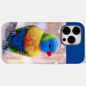 Schöner mehrfarbiger Parrot Case-Mate iPhone Hülle (Rückseite (Horizontal))
