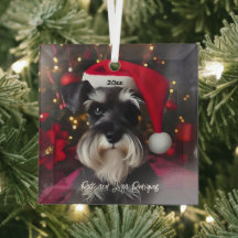 Schöner Miniaturschnauzer mit Weihnachtsmannmütze