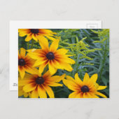 Schöner mit Augen Sushi-Garten Postkarte (Vorne/Hinten)