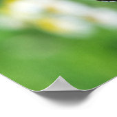 Schöner Monarchfalter Poster (Ecke)