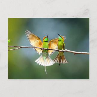 Schöner Motmot-Vogel am Zweig Postkarte