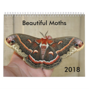 Schöner Motten-Kalender 2018 Kalender