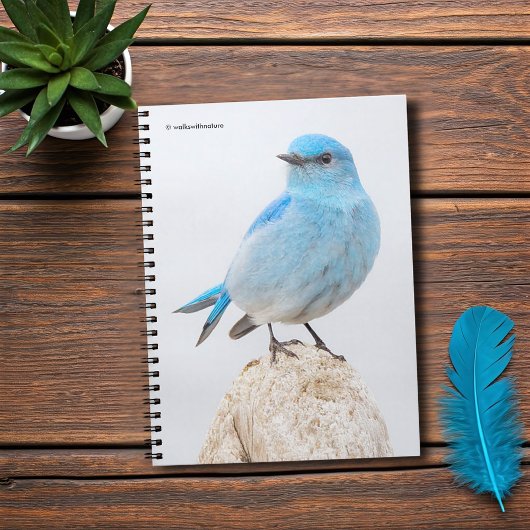Schöner Mountain Bluebird am Strand Notizblock