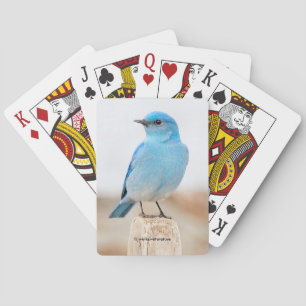 Schöner Mountain Bluebird am Strand Spielkarten