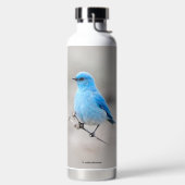 Schöner Mountain Bluebird am Strand Trinkflasche (links)