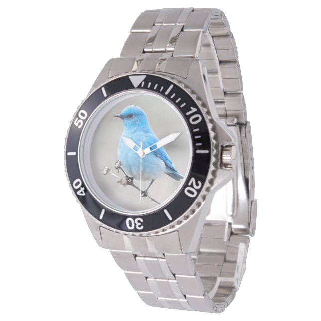 Schöner Mountain Bluebird auf der Tansy Armbanduhr (Schrägansicht)