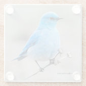 Schöner Mountain Bluebird auf der Tansy Glasuntersetzer (Rückseite)