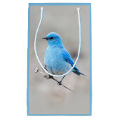 Schöner Mountain Bluebird auf der Tansy Kleine Geschenktüte (Vorderseite)