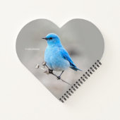 Schöner Mountain Bluebird auf der Tansy Notizbuch (Rückseite)