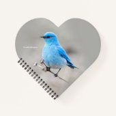 Schöner Mountain Bluebird auf der Tansy Notizbuch (Vorderseite)