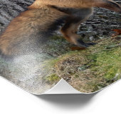 Schöner Mr. Fox Fotodruck (Ecke)