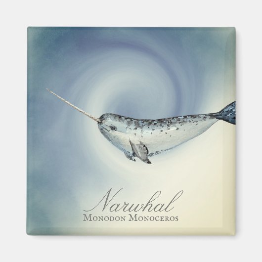 Schöner Narwal, Monodon Monoceros Magnet (Vorne)