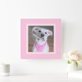 Schöner Niedlicher Weiße Hund in rosa Scarf Quadratische Wanduhr (Zuhause)