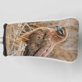 Schöner Northern Harrier Hawk in den Marschen Golf Headcover (Vorderseite)