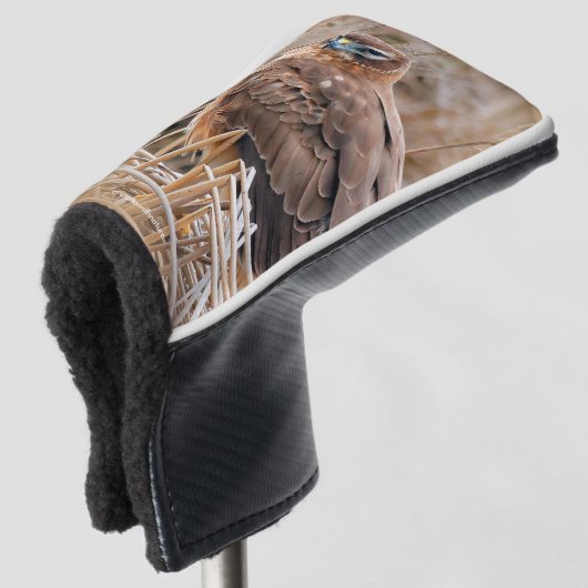 Schöner Northern Harrier Hawk in den Marschen Golf Headcover (3/4 Vorderseite)