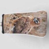Schöner Northern Harrier Hawk in den Marschen Golf Headcover (Vorderseite)